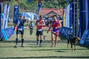 BIB: 
                            <button type="button" onclick="openModal(26654108)" class="btn btn-primary btn-sm float-right btn-popup" data-toggle="modal" data-target=".modal-high-quality">
                        <i class="fas fa-shopping-cart"></i> Add to Cart
                    </button>
                                            <button type="button" onclick="isThisMe(26654108, true)" class="btn btn-success btn-sm float-right btn-popup btn-isme hidden" data-toggle="tooltip" data-placement="bottom" title="นี่คือรูปของคุณใช่ไหม คลิกที่นี่เพื่อเอาเข้าอัลบั้ม">
                        <i class="fas fa-plus"></i> Add to album
                    </button>
                    <button type="button" onclick="isThisMe(26654108, false)" class="btn btn-warning btn-sm float-right btn-popup btn-isnotme hidden">
                        <i class="fas fa-ban"></i> Remove from album
                    </button>